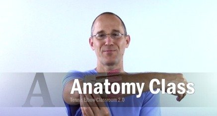 Tennis Elbow Anatomy Class