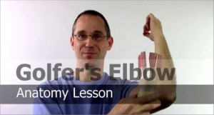 A lesson on the anatomy of Golfers Elbow