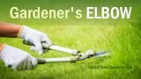 How Gardening Causes Elbow Injury