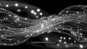 Stylized collagen fibers